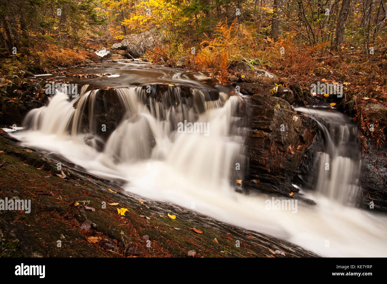 Cascata su un autunno colorato paesaggio vicino il Grand Lake; Nova Scotia, Canada Foto Stock