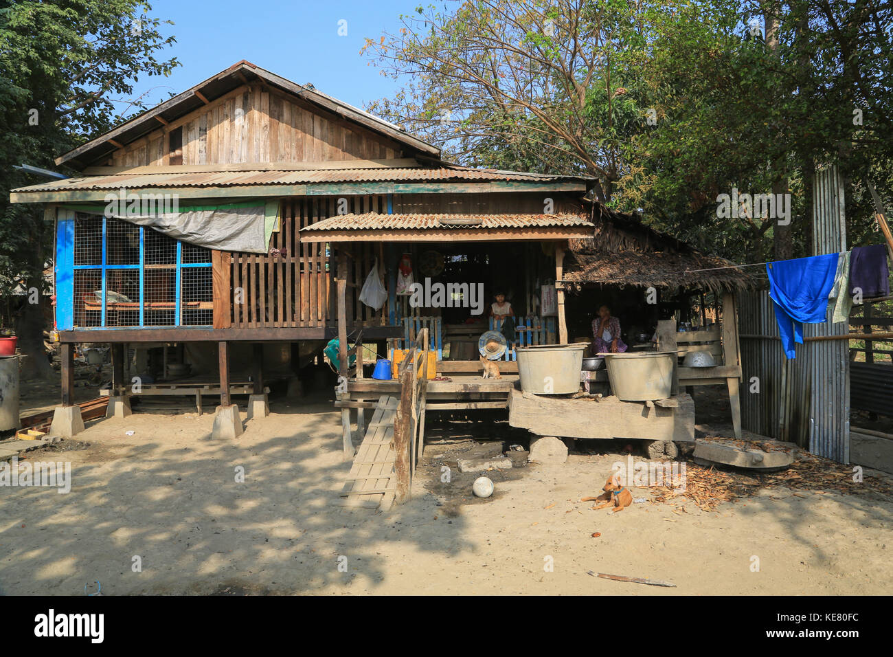 Nyaunghtaw village è sulla sinistra (est) banca del fiume Irrawaddy in provincia ayeyarwaddy in Myanmar (Birmania). casa sopraelevata su basamenti in cemento. Foto Stock