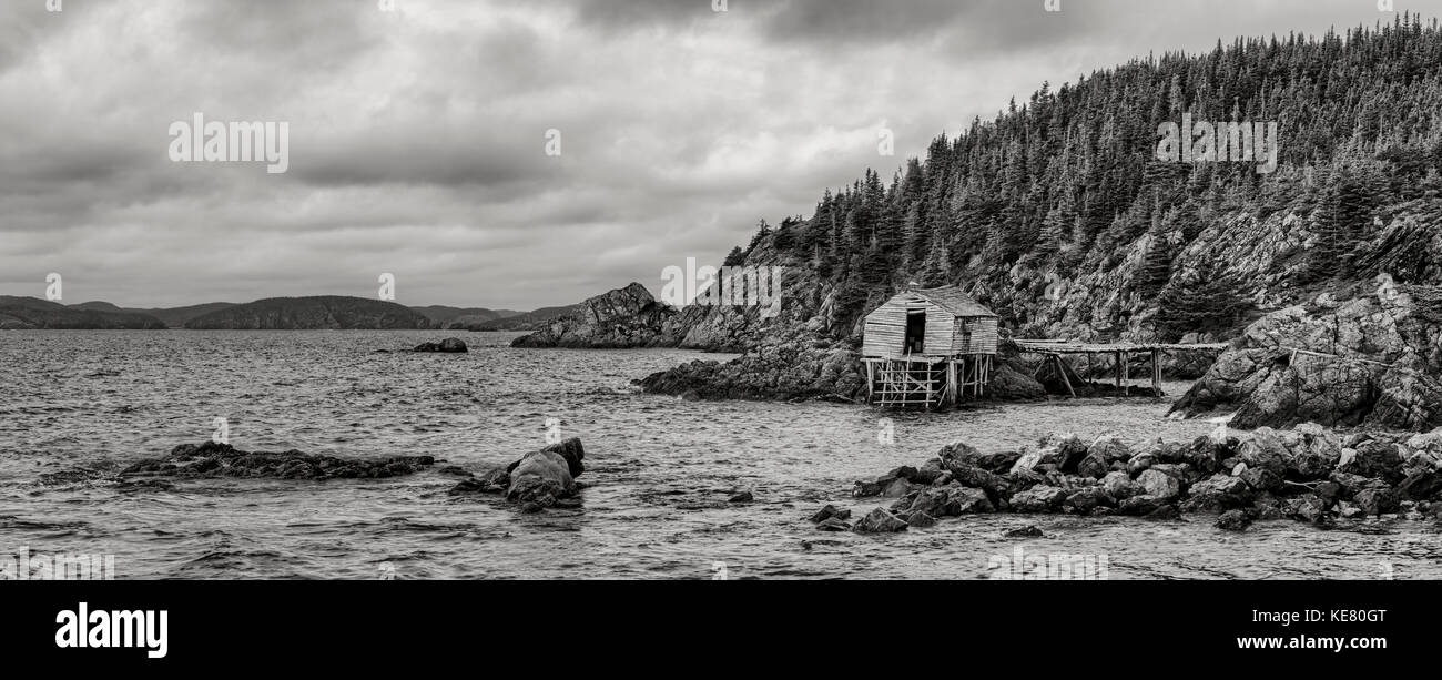Immagine in bianco e nero di uno sperone roccioso litorale Atlantico con una dock e boat house; Terranova, Canada Foto Stock