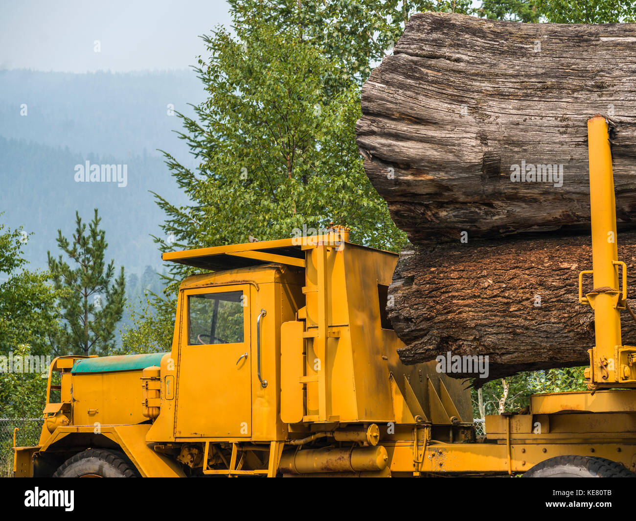 I registri di grandi dimensioni caricati su un giallo carrello di trasporto; Riondel, British Columbia, Canada Foto Stock