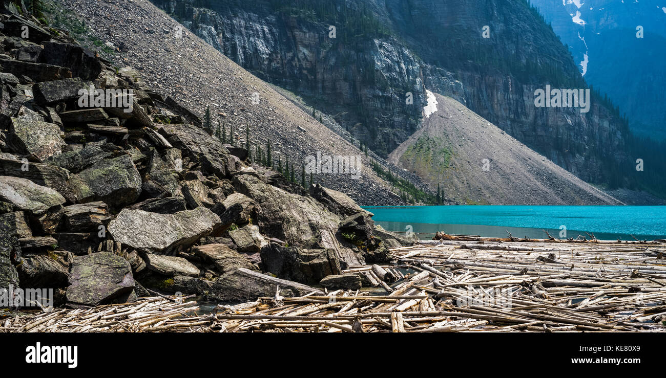 Le splendide acque blu del Lago Moraine con i registri il littering lo shore nel Parco Nazionale di Banff; miglioramento distretto n. 9, Alberta, Canada Foto Stock