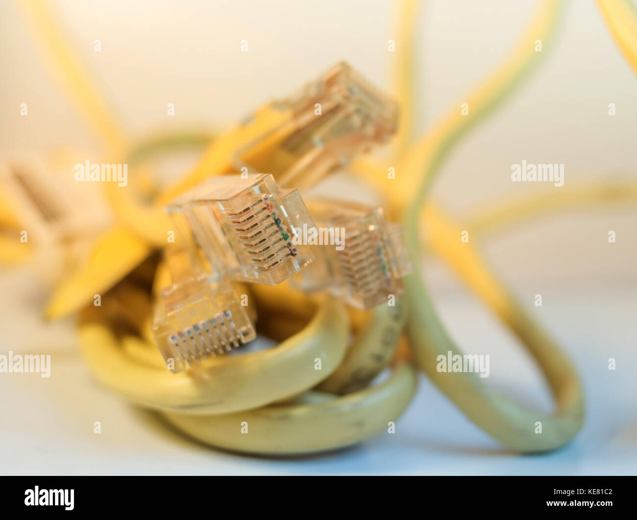 Cavo ethernet giallo connettore isolato Foto Stock