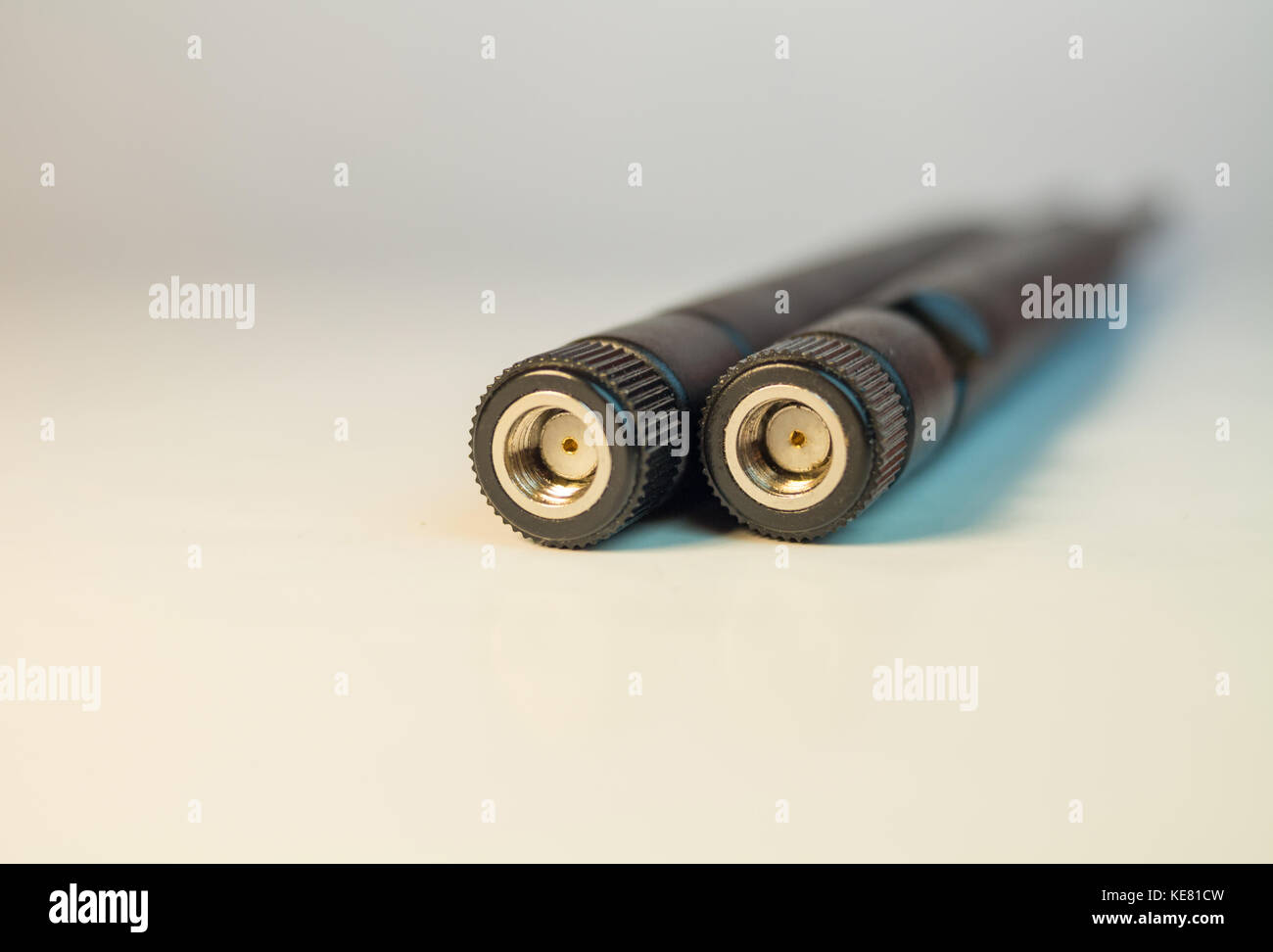 Antenna wireless per il modem e accesso internet wifi stick, connettore SMA Foto Stock