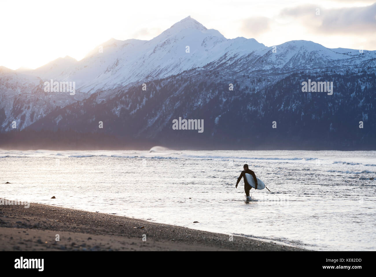 Surfer porta il suo quadro su Kachemak Bay, Homer Spit centromeridionale, Alaska, STATI UNITI D'AMERICA Foto Stock