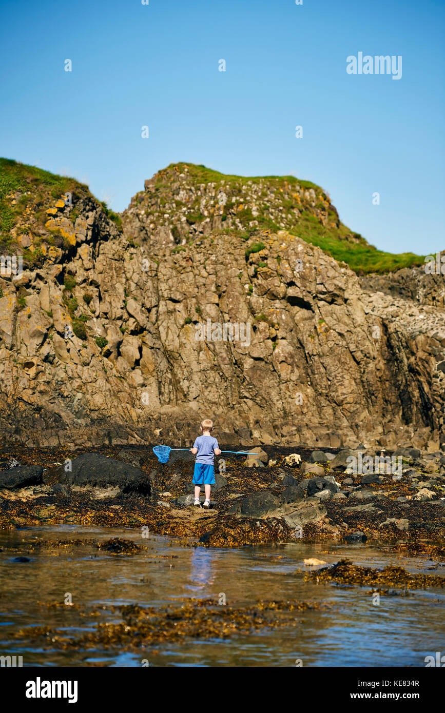 Un giovane ragazzo sta con un netto in pozze di marea lungo la costa dell'Irlanda del Nord; Irlanda Foto Stock