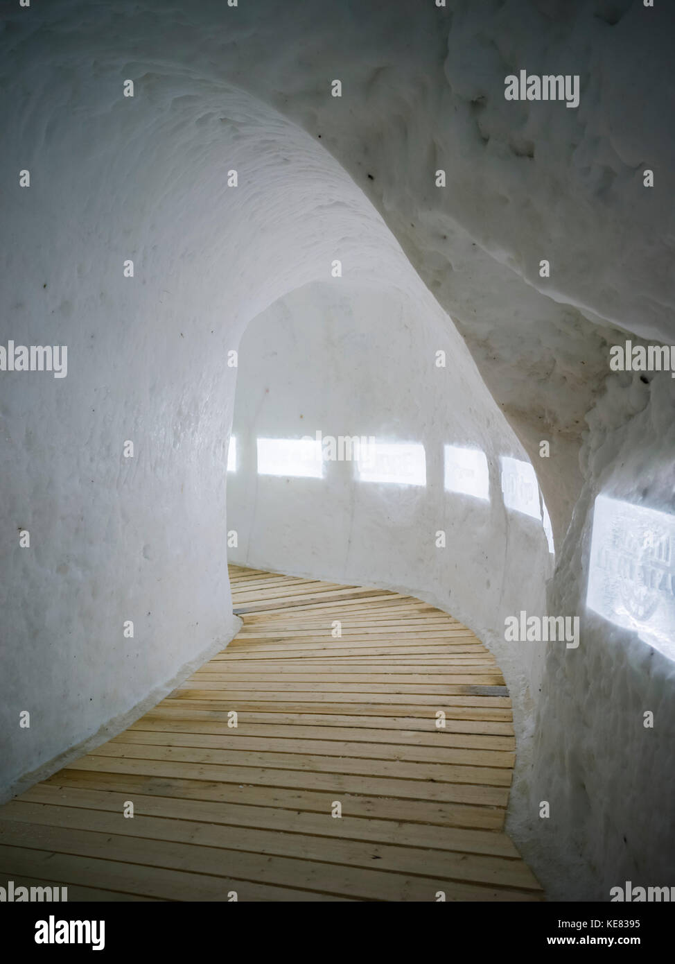 Tavole in legno linea un marciapiede in Lapponia Iglootel; Arjeplog, Norrbotten County, Svezia Foto Stock