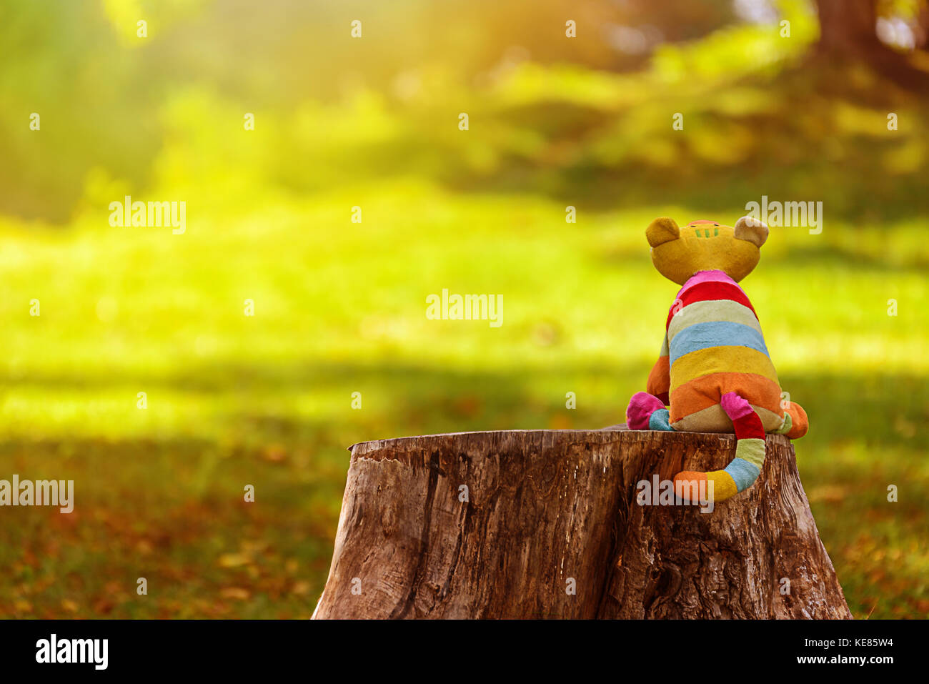 Giocattolo imbottito cat seduto sul moncone e in attesa di un amico a venire Foto Stock