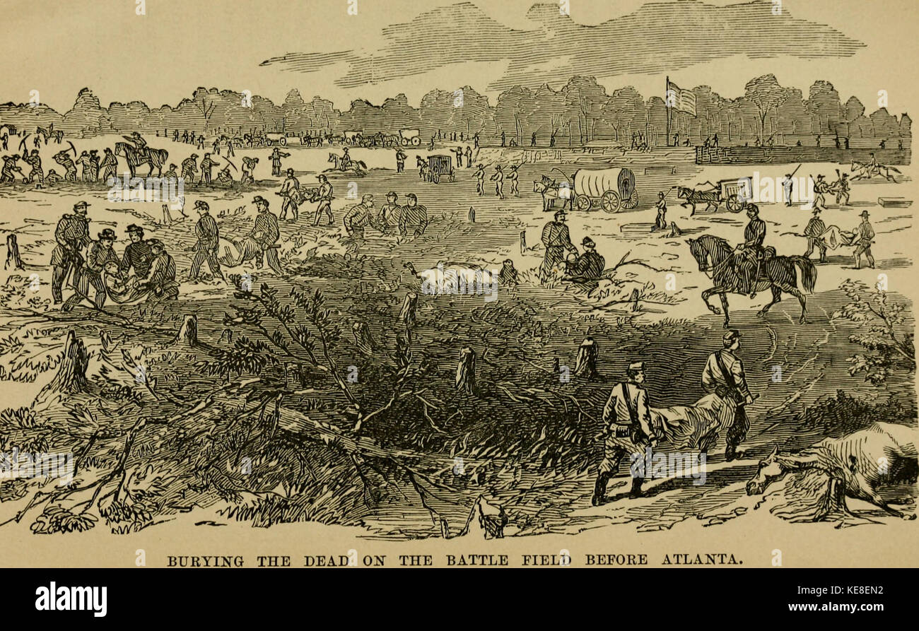 La biografia e i servizi pubblici di Hon James G. Blaine dando un account completo di venti anni nella capitale nazionale (1884) (14772571824) Foto Stock