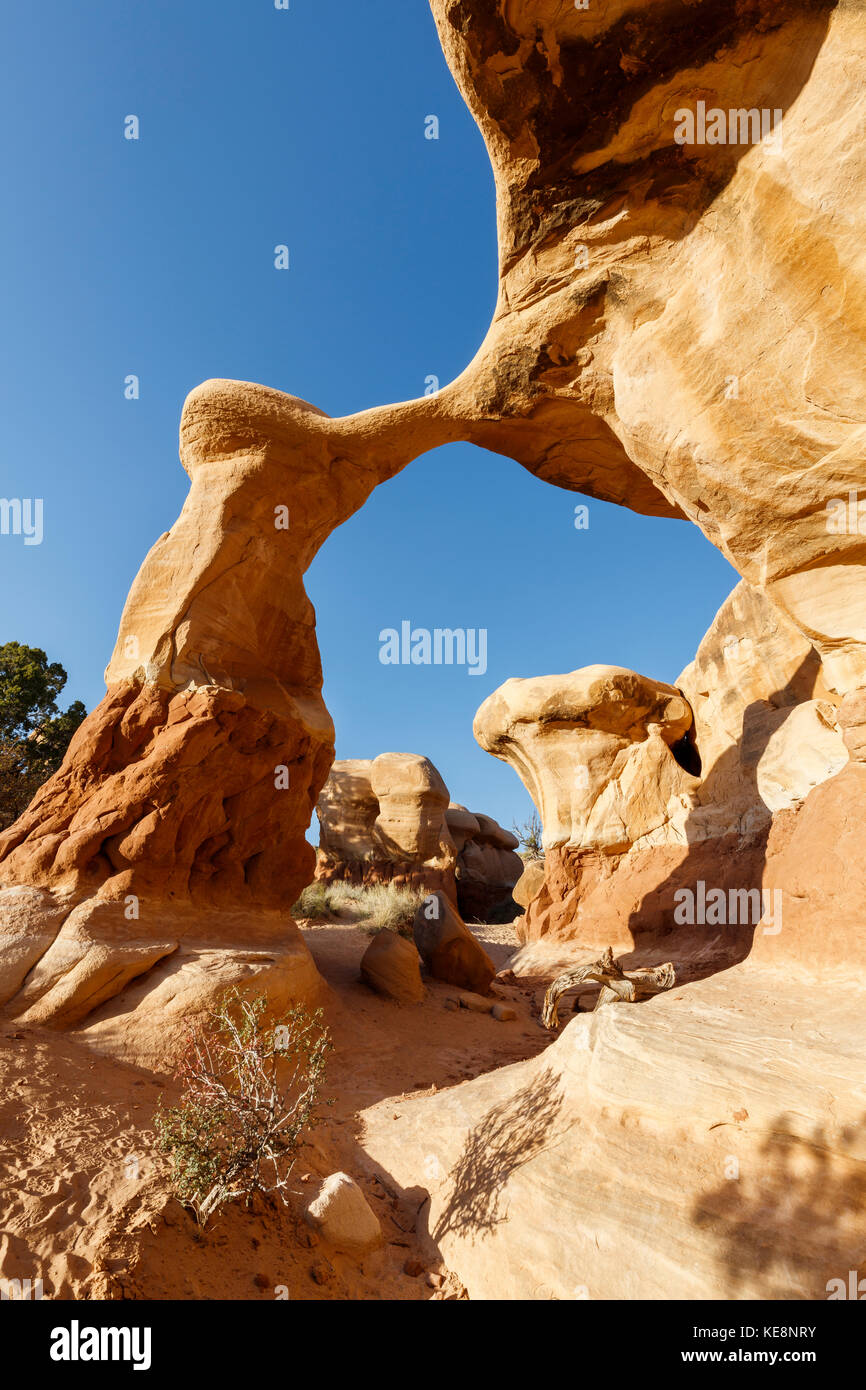 Metate arch in grande scala escalante monumento nazionale Foto Stock
