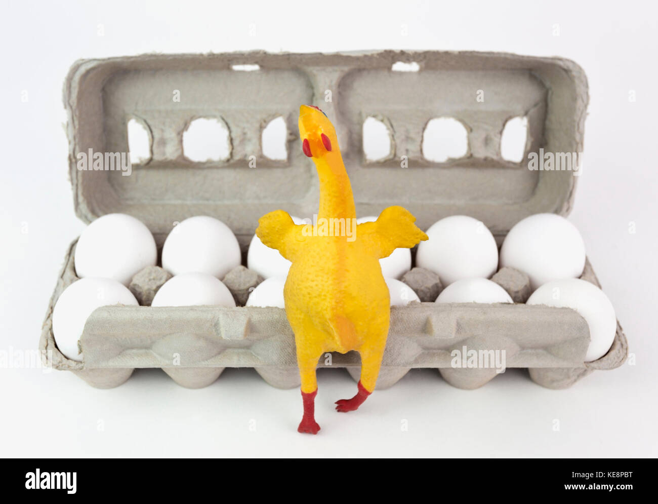 Cartone di una dozzina di uova con felice di pollo di gomma in primo piano focus su gomma di pollo. Foto Stock