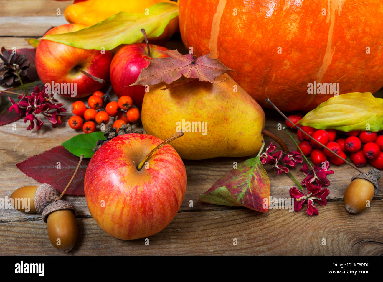 Sfondo di ringraziamento con la zucca, mele, pere, cadono le foglie e ghiande. Foto Stock