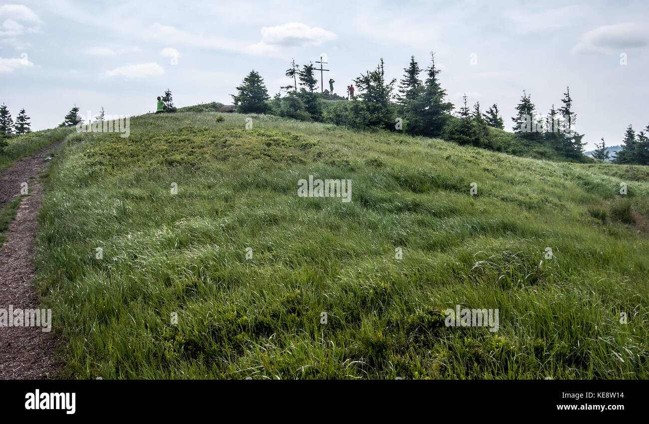 Mincol collina sopra la città vrutky in mala fatra montagne in Slovacchia con sentiero escursionistico, prato di montagna, pochi alberi e croce in vetta Foto Stock