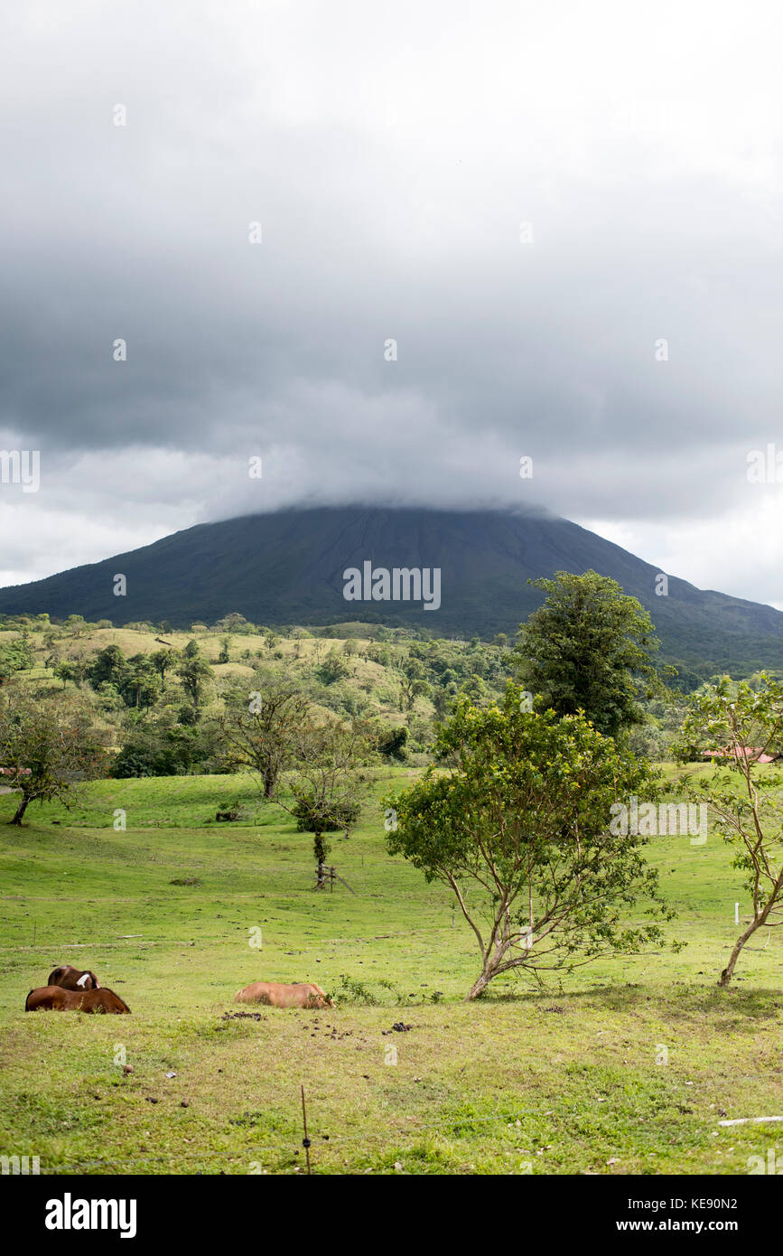 Basse nubi che copre la punta del vulcano Arenal, La Fortuna, Costa Rica Foto Stock