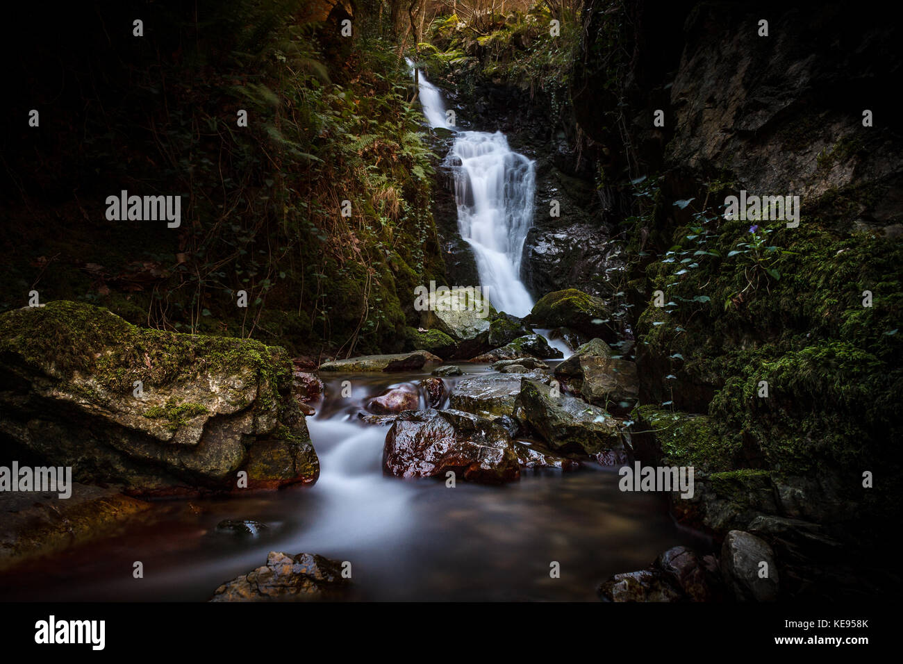 Una bella cascata nel bosco, con acqua di seta. nelle Asturie, Spagna. assomiglia a una favola posizione o un buon posto per gollum per essere. Foto Stock