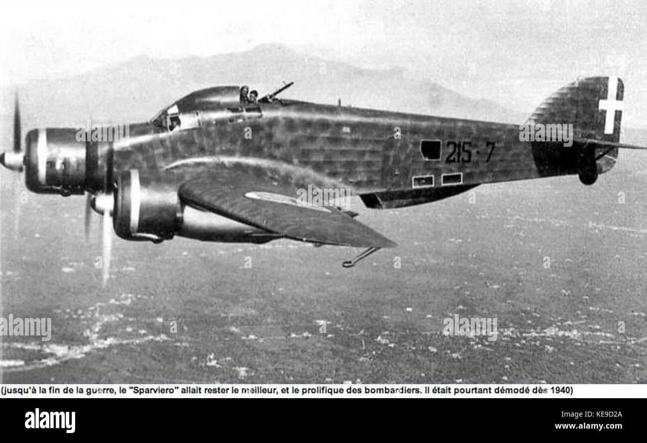 Il Savoia Marchetti SM 79 Sparviero è un aereo da bombardiere medio italiano, noto per il suo ruolo durante la seconda guerra mondiale. Questa immagine raffigura l'aereo in volo, mostrandone il design e il significato militare. Foto Stock