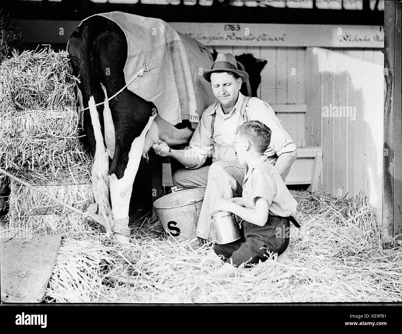 36547 Easter Show a showground Foto Stock