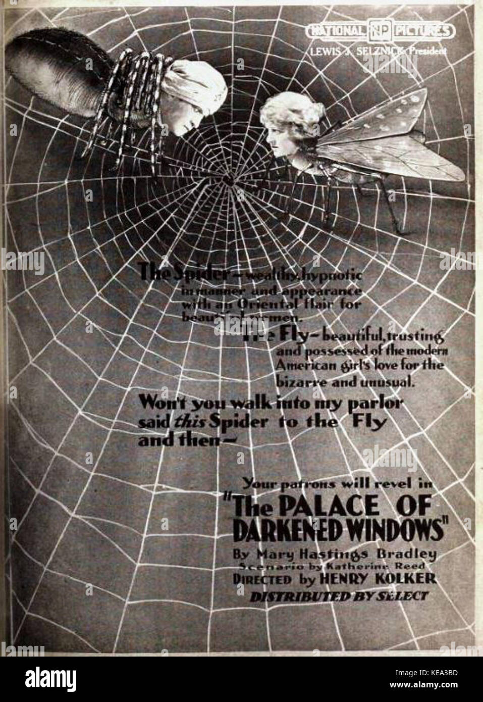 Il Palazzo di oscurato Windows (1920) 11 Foto Stock