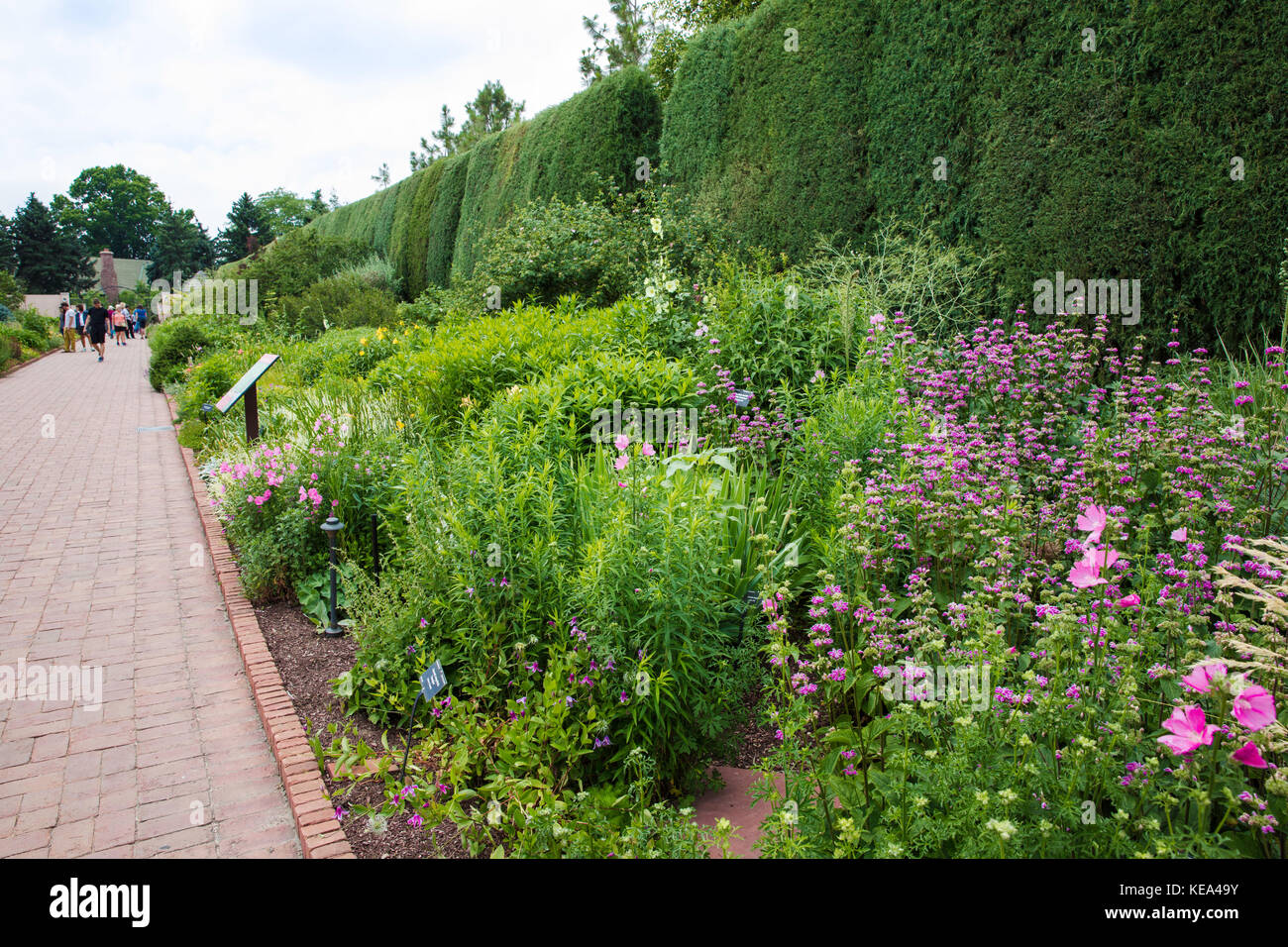 Denver Botanic Gardens, Denver, Colorado, Stati Uniti d'America Foto Stock