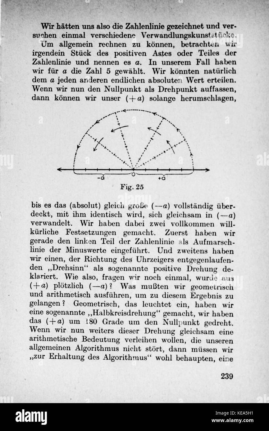 Vom Einmaleins zum solidale Seite 239 Foto Stock