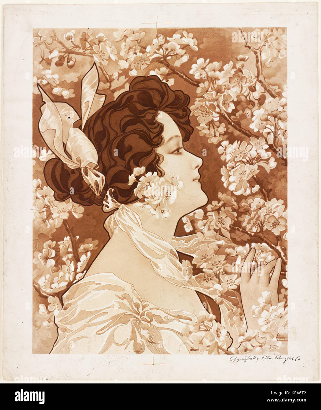 Donna con la fioritura Tree (Boston Public Library) Foto Stock