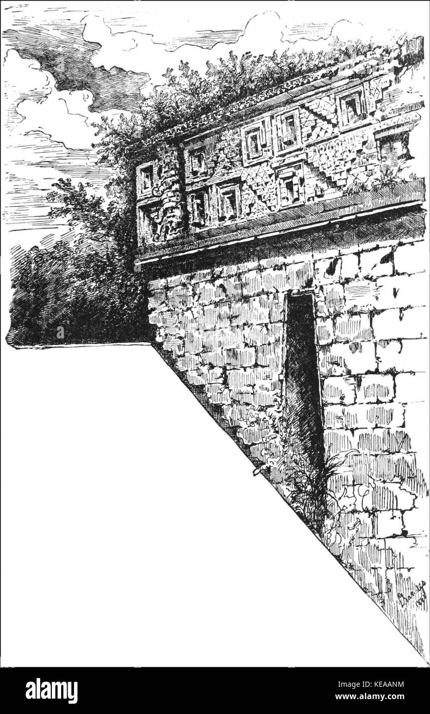 TLM D087 Elephant Trunk Foto Stock