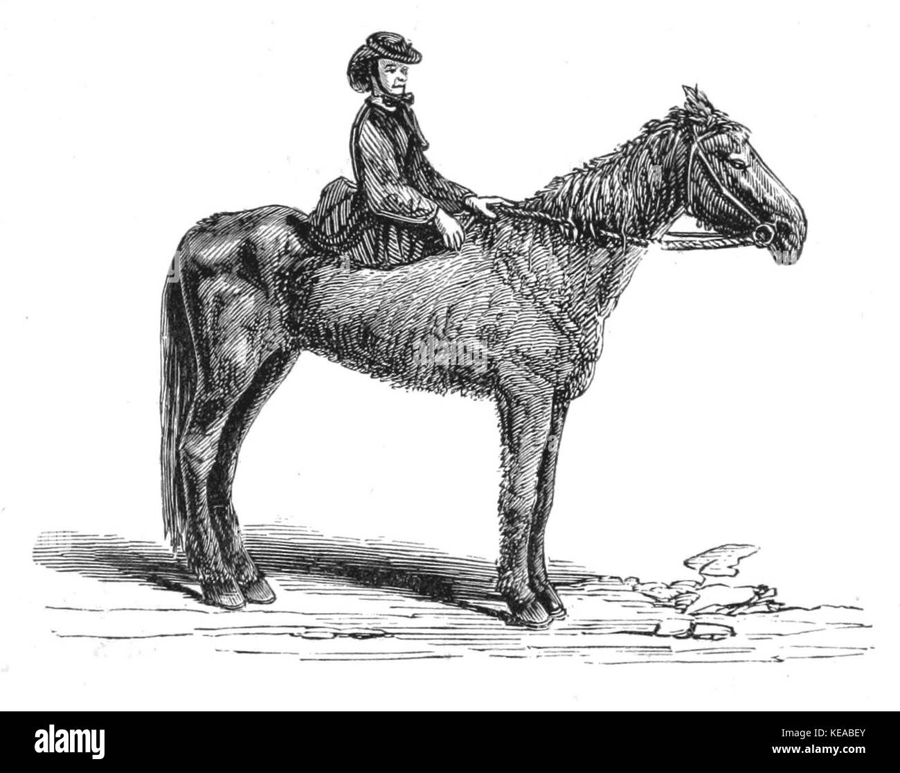 La storia di zia Becky l Esercito di vita 130 Foto Stock