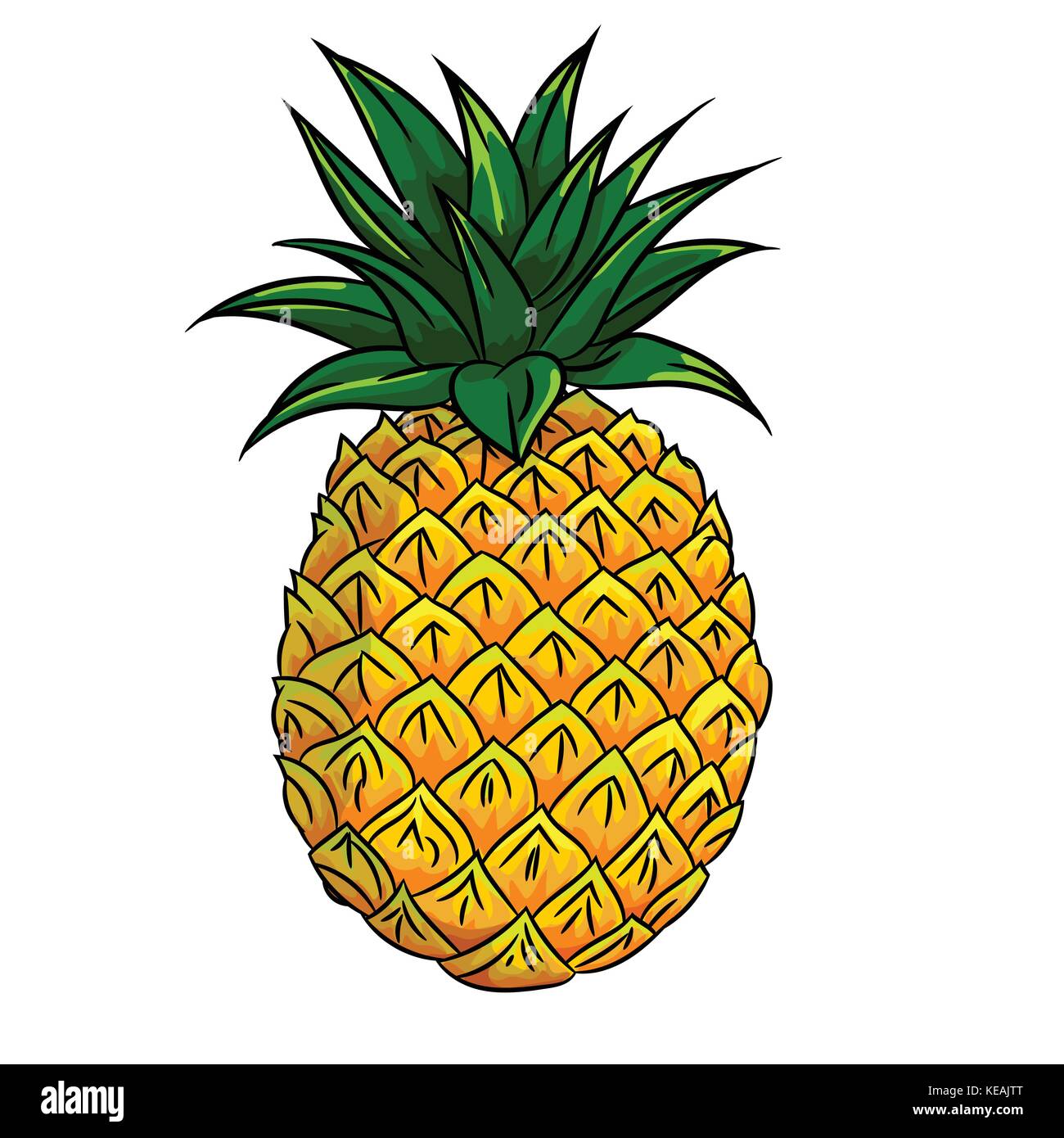 Mano bozzetto di ananas isolato, in bianco e nero del fumetto illustrazione vettoriale per libro da colorare - Linea tracciata vettore Illustrazione Vettoriale