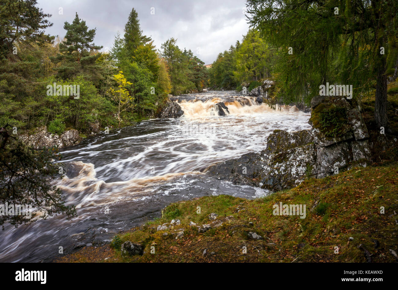 Cassley cade o Achness cascata sul fiume Cassley vicino Rosehall, Sutherland, Highlands scozzesi, REGNO UNITO Foto Stock