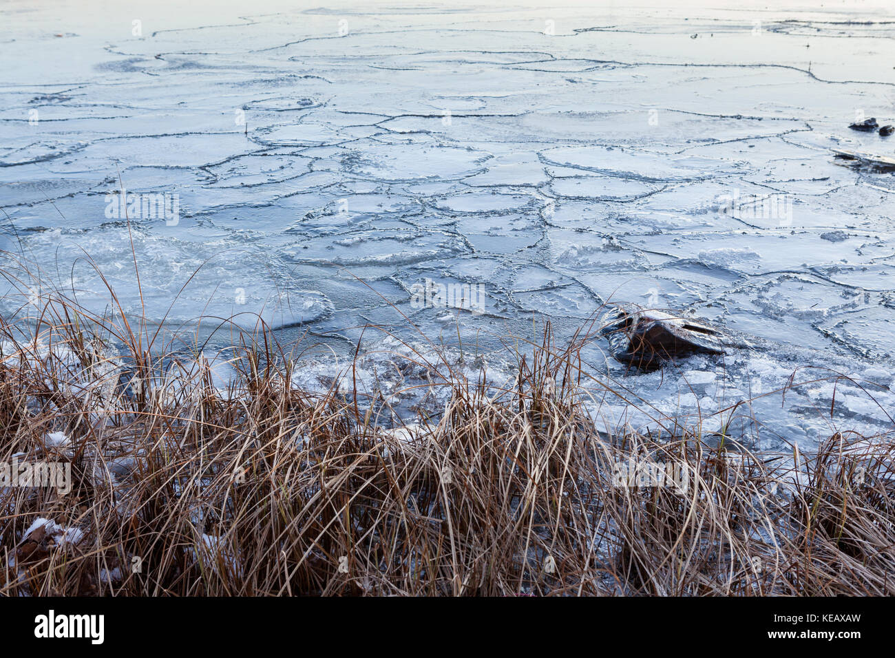 Pezzi di ghiaccio nel lago Foto Stock