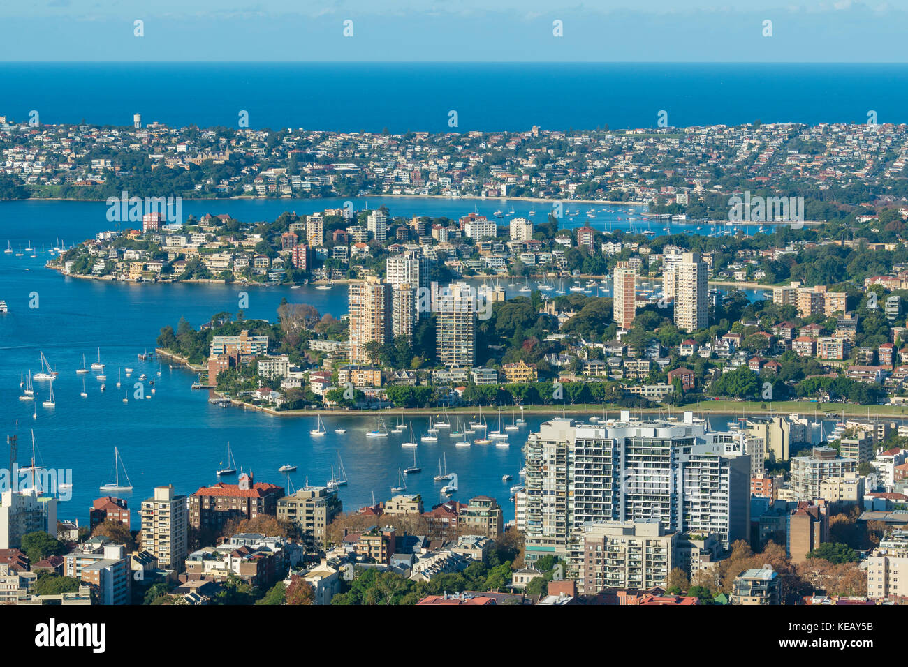 Case e appartamenti lungo la sponda del porto di Sydney Foto Stock