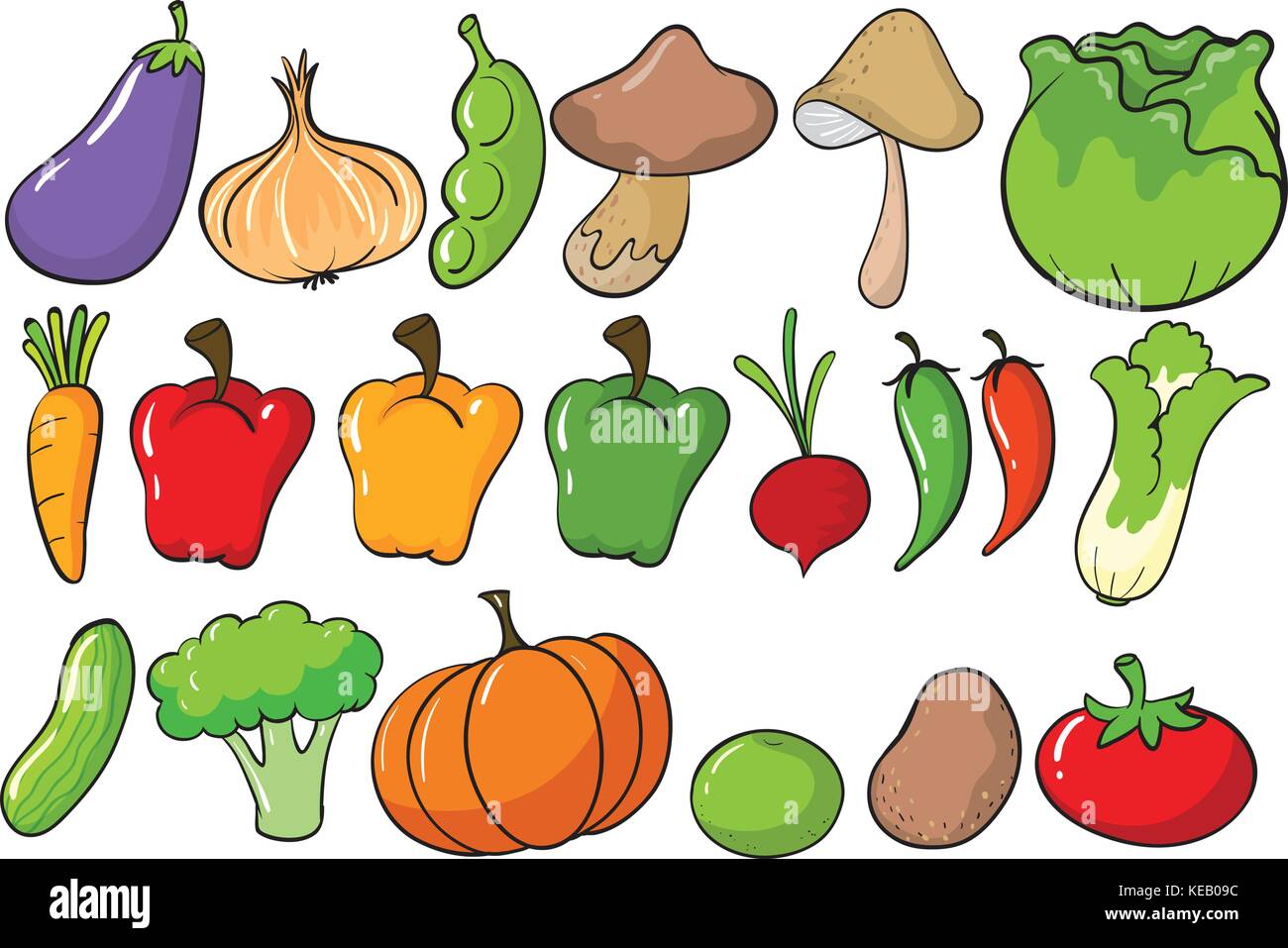 Diversi tipi di verdura Immagine e Vettoriale - Alamy