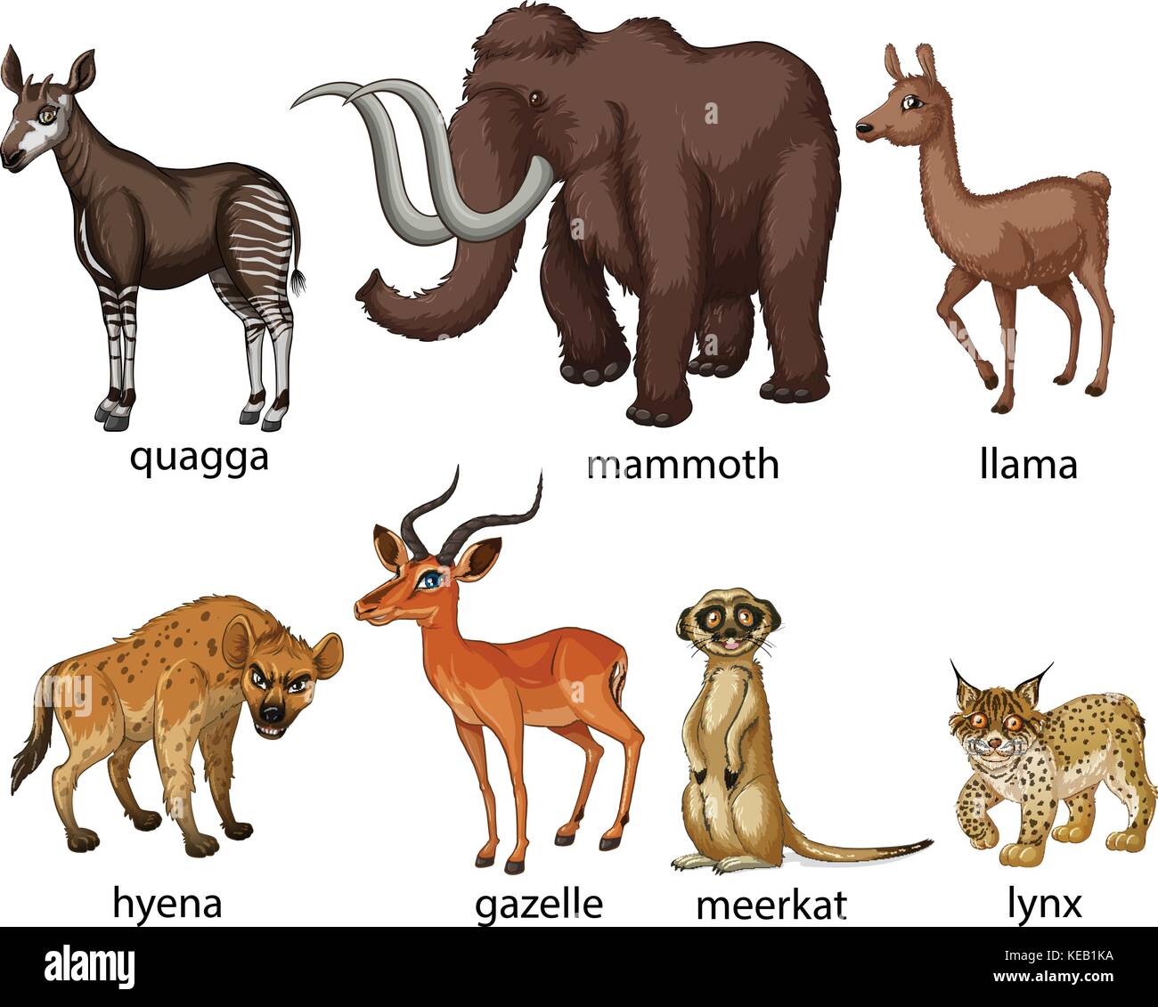 Illustrazione di molti tipi di animali Illustrazione Vettoriale