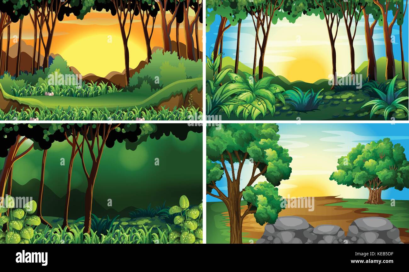 Illustrazione di quattro diverse scene delle foreste Illustrazione Vettoriale
