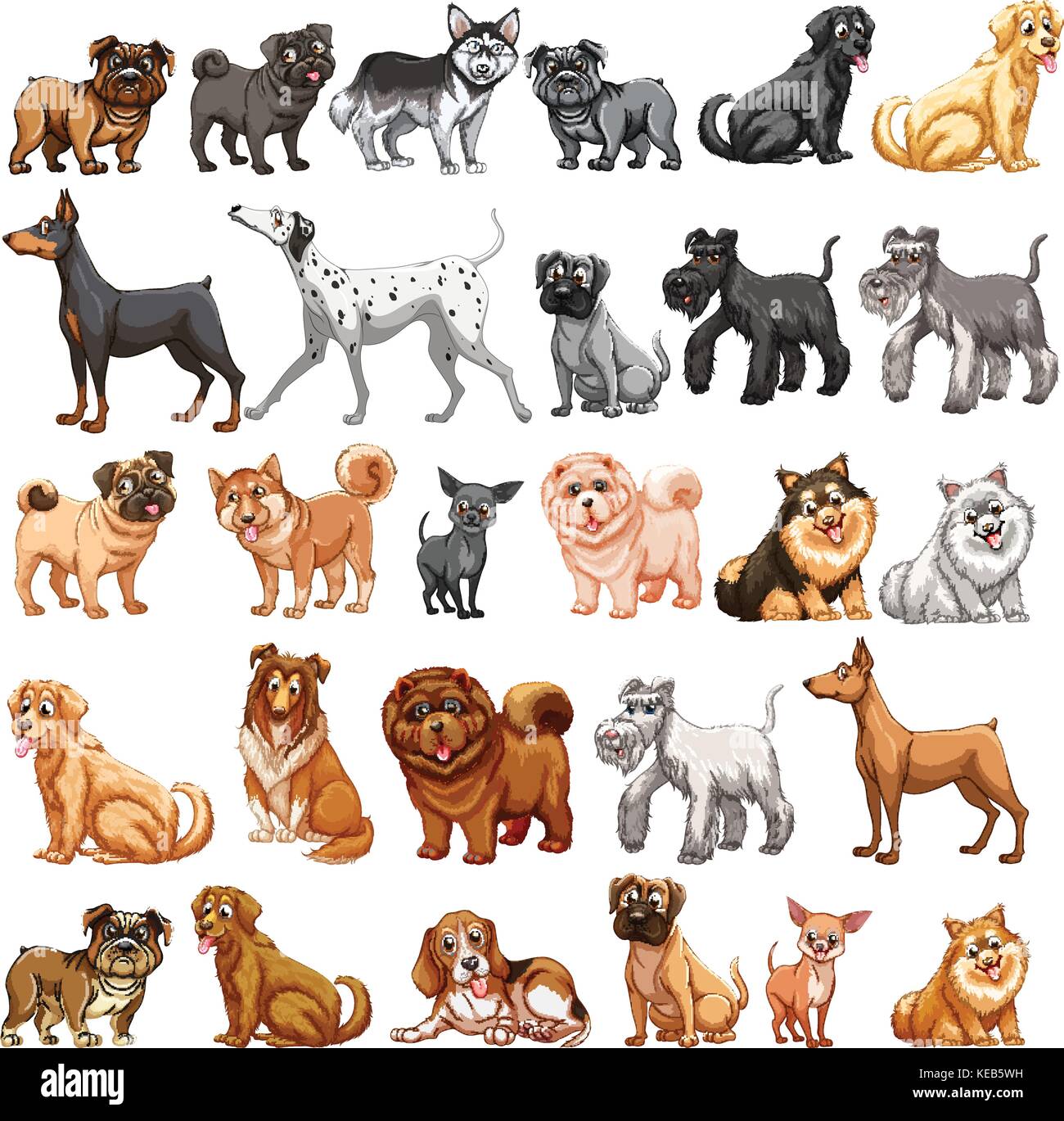 Diversi tipi di cani piccoli e grandi Immagine e Vettoriale - Alamy
