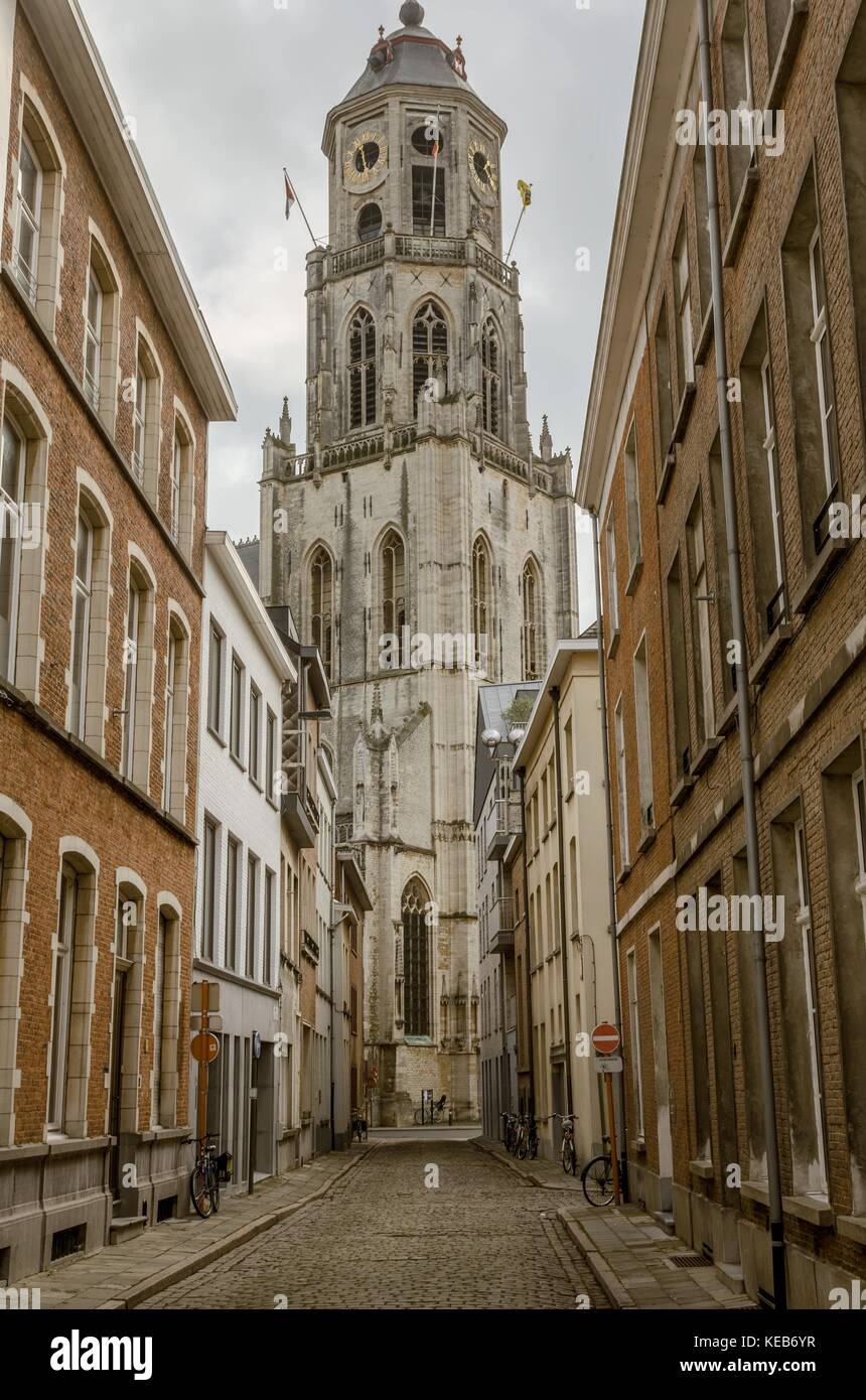 La chiesa di Santa gommaire a lier, Belgio Foto Stock
