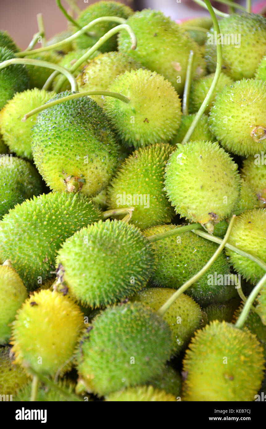 Raw zucca spinosa sul display in stallo vegetale del mercato locale a Little India, Singapore Foto Stock