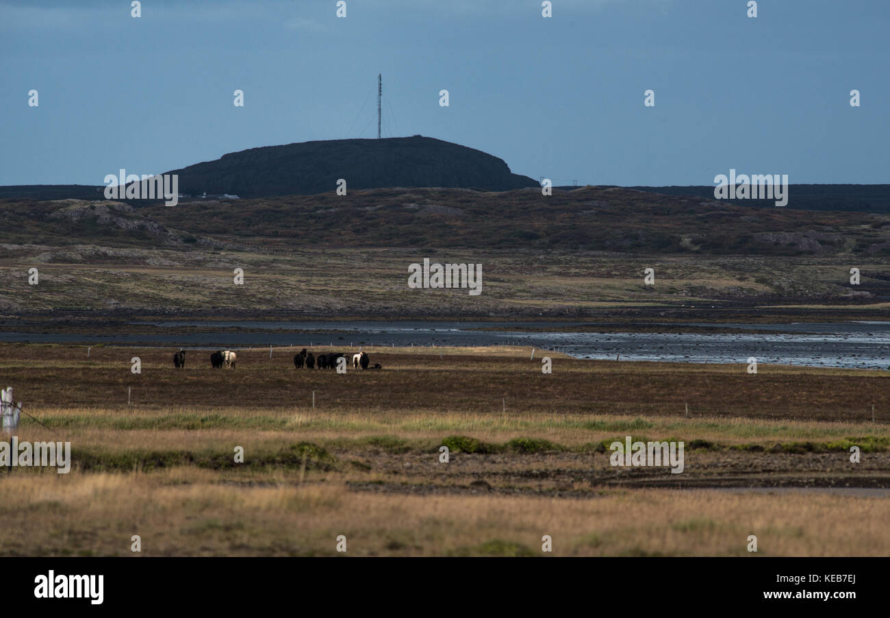 Splendido paesaggio naturale della campagna in Islanda. Foto Stock