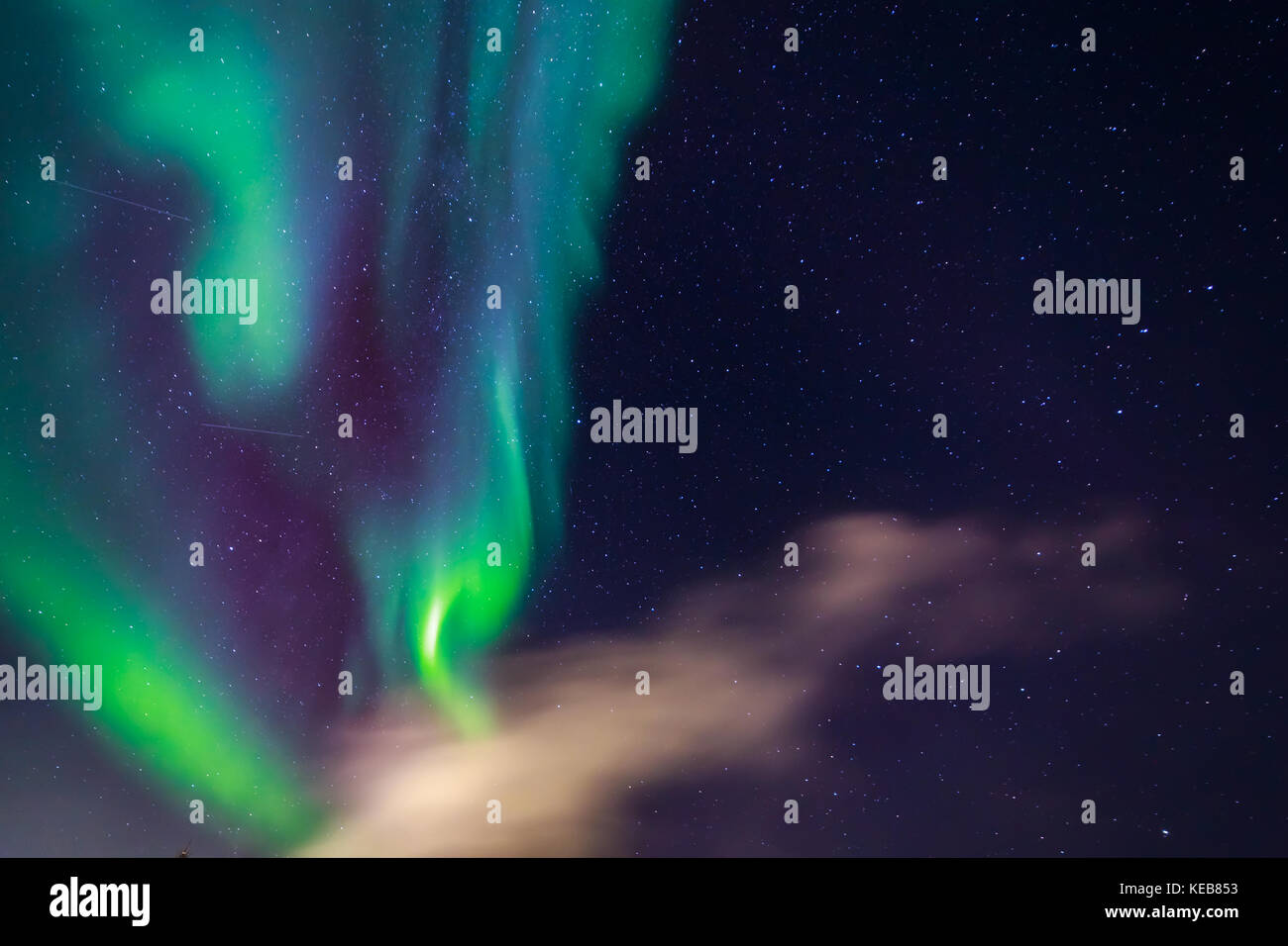 Green Northern lights incandescente nel cielo tra le stelle e le nuvole, Nuuk, Groenlandia Foto Stock