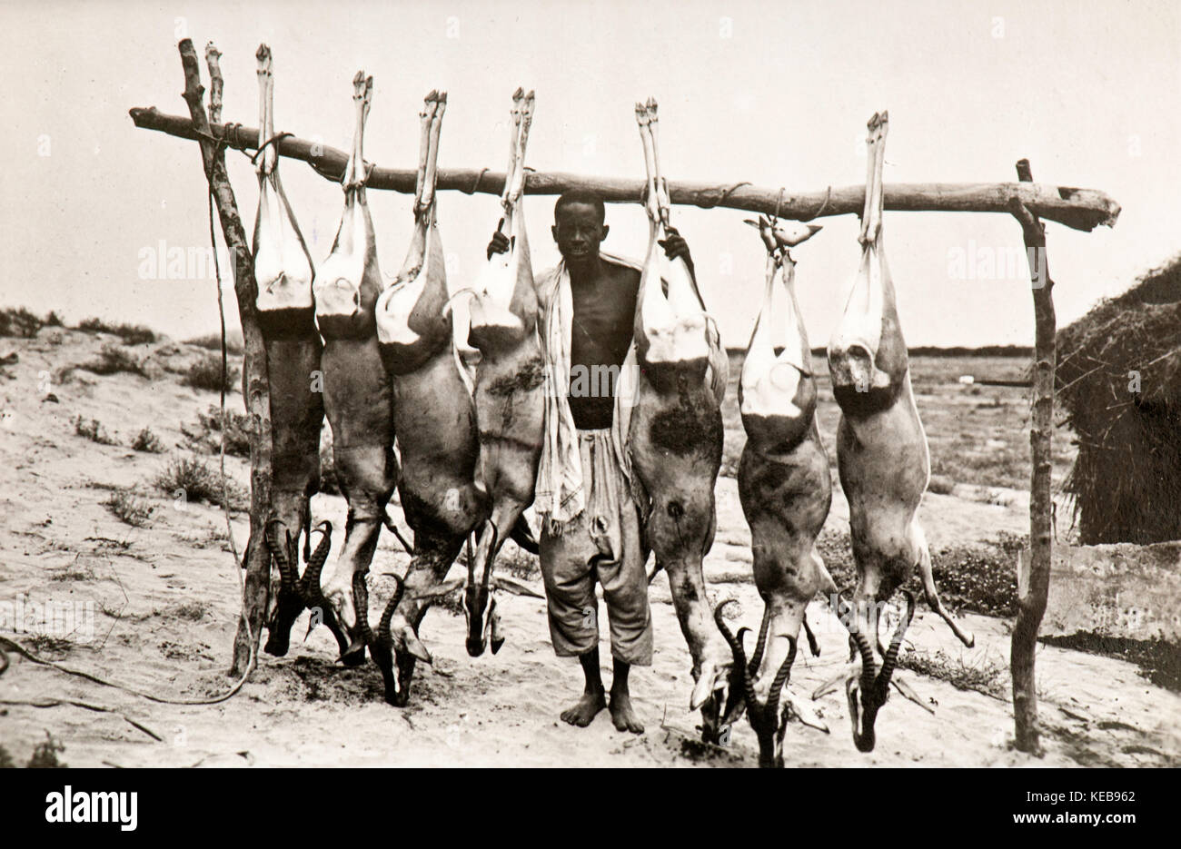 Un trofeo di caccia in Eritrea (1936) Foto Stock