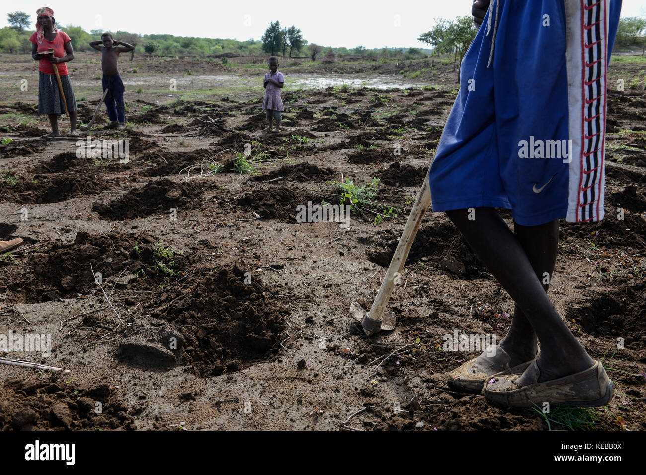 Mozambico, Moatize, il villaggio era Chipanga reinsediati da vale le miniere di carbone, un Brasile company, il nuovo insediamento Cateme costruito da Vale è di 40 km, Jose e la sua famiglia è ancora la semina del mais sulla loro vecchia fattoria in Chipanga, ma non sono sicuro se il raccolto può esso breore bulldozer verrà di nuovo / MOSAMBIK, Moatize, fuer die Erweiterung der Kohlemine des brasilianischen Unternehmens VALE wird die Ortschaft Chipanga abgerissen, die Bewohner werden 40 km von Moatize enfernt nach Cateme umgesiedelt, Jose und seine Familie pflanzen Mais solange es geht Foto Stock