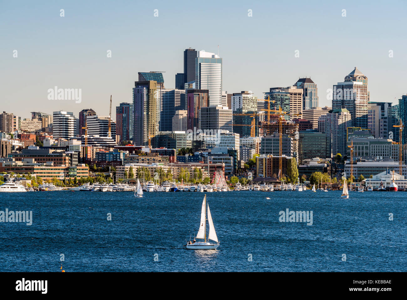 Il Lago Union e la skyline del centro dietro, Seattle, Washington, Stati Uniti d'America Foto Stock