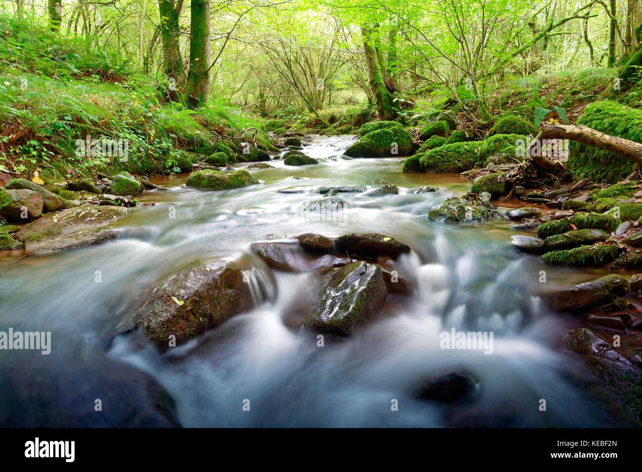 Una vista del fiume Ennig come fluisce attraverso Pwll-y-Wrach Riserva Naturale in Brecon Beacons, Wales, Regno Unito Foto Stock