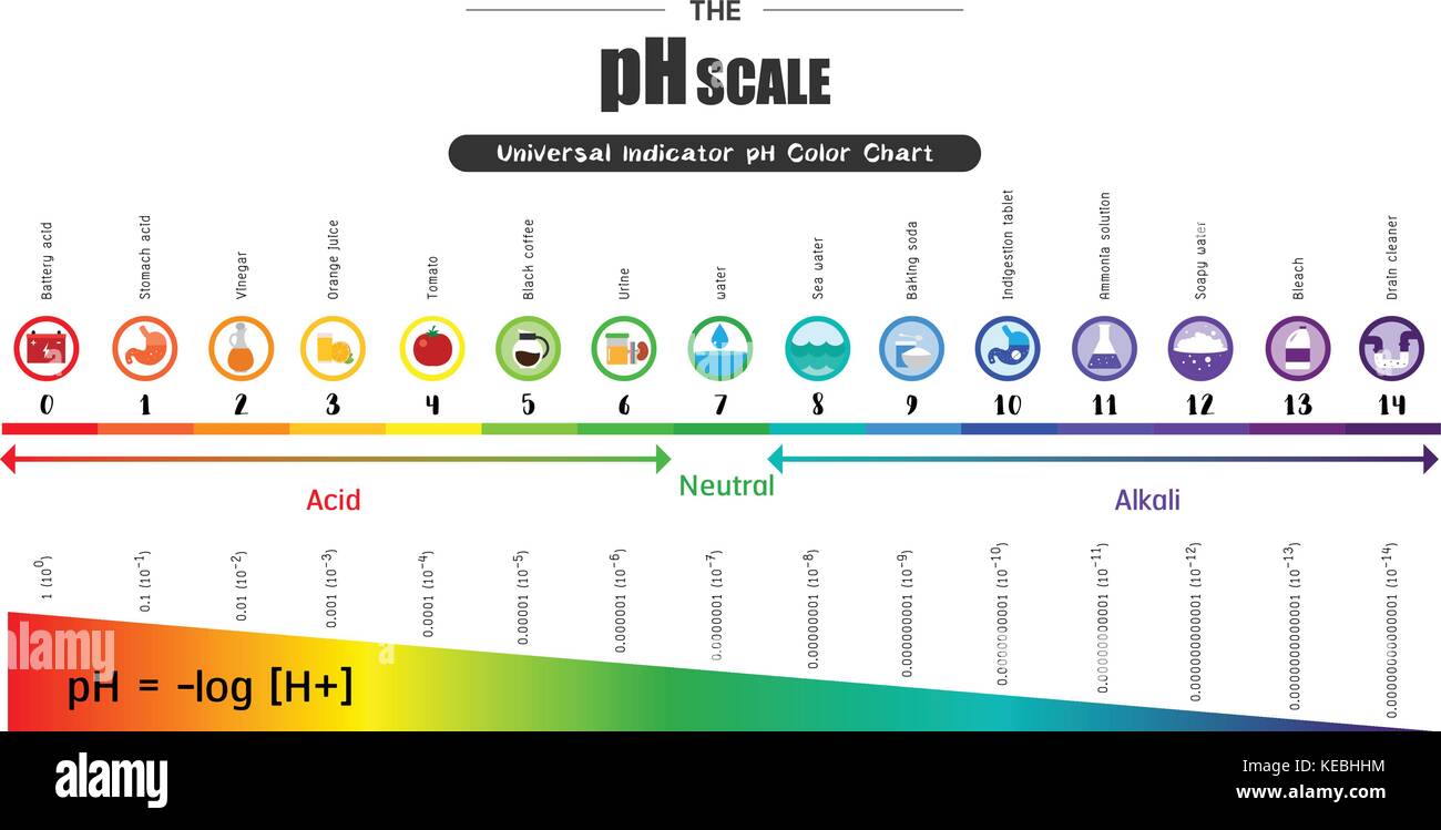 La scala di ph indicatore universale ph colore schema grafico acida valori alcalini sostanze di uso comune illustrazione vettoriale icona piatto design colorato Illustrazione Vettoriale