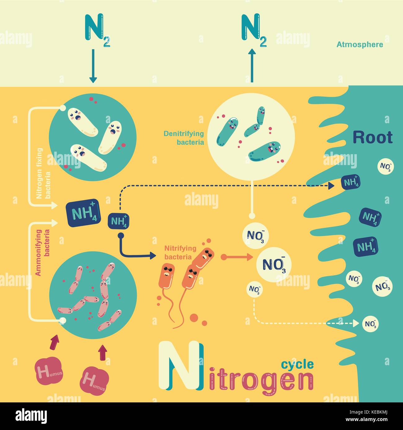 Ciclo di azoto in-fographic vettore cartoon Illustrazione Vettoriale