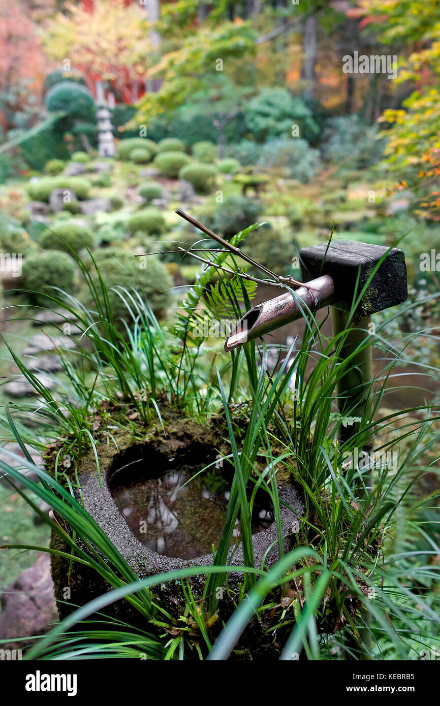 Giappone, isola di Honshu, Kansai, ohara, sanzen-nel tempio, giardini zen. Foto Stock