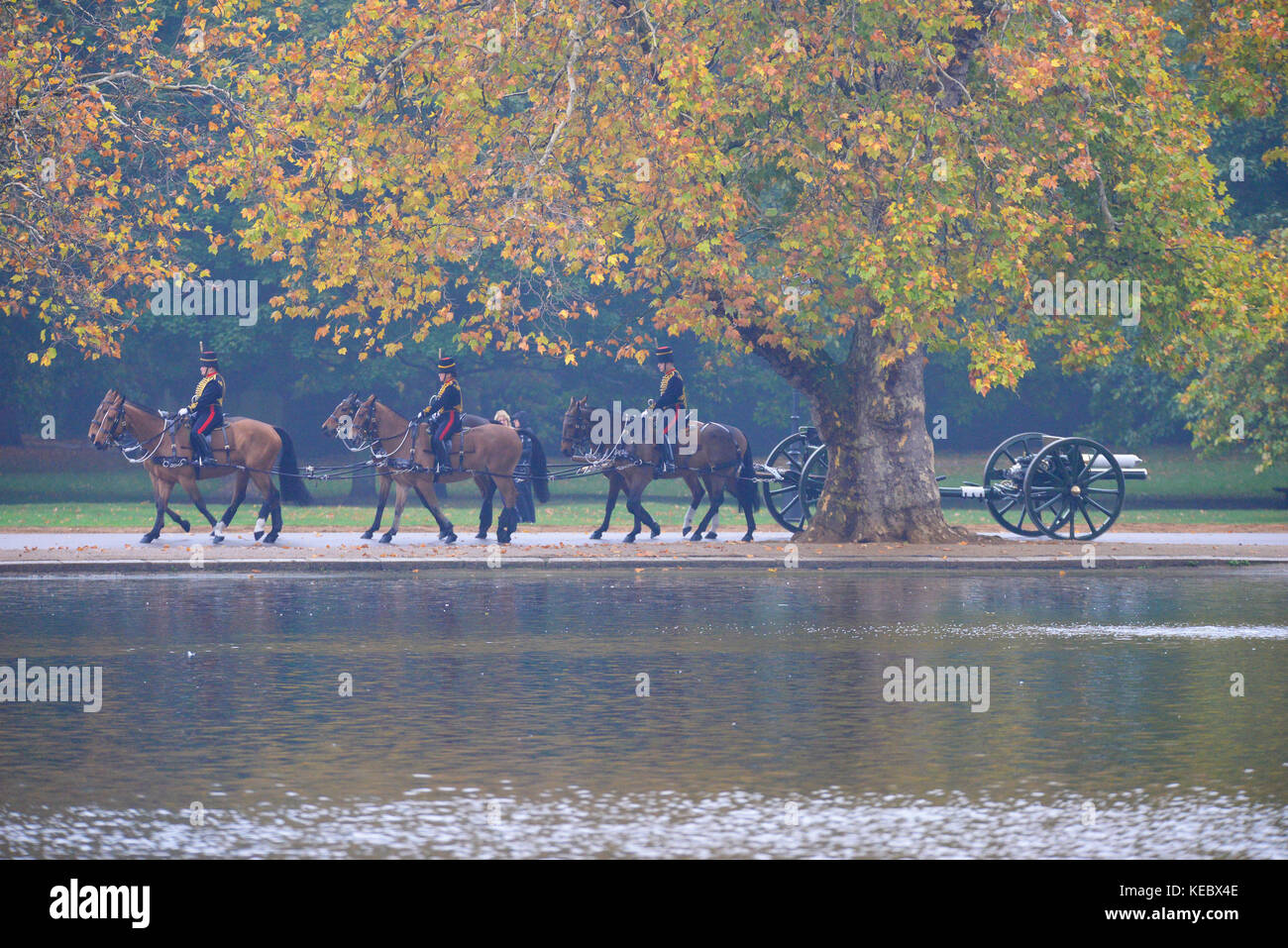 Royal Review of the King's Troop Royal Horse Artillery for Their 70th Anniversary in Hyde Park, a Londra, Regno Unito Foto Stock