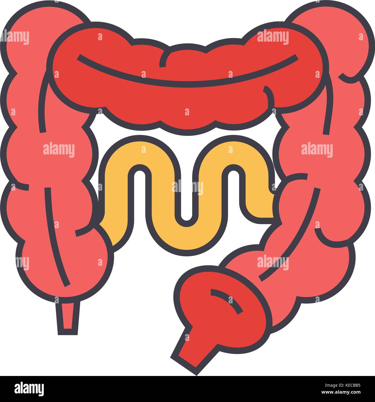 Intestini concetto. Illustrazione Vettoriale