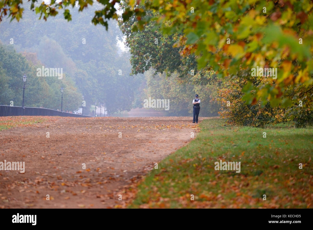 Ufficiale di polizia donna a Hyde Park in autunno lungo una carreggiata precedentemente King's Private Road e Rotten Row. Da solo Foto Stock