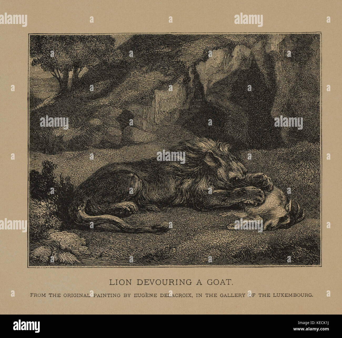 Lion devouring a Goat, Woodcut incisione dalla pittura originale di Eugène Delacroix i capolavori dell'arte francese di Louis Viardot, pubblicato da Gravure Gooupil et Cie, Parigi, 1882, Gebbie & Co., Philadelphia, 1883 Foto Stock