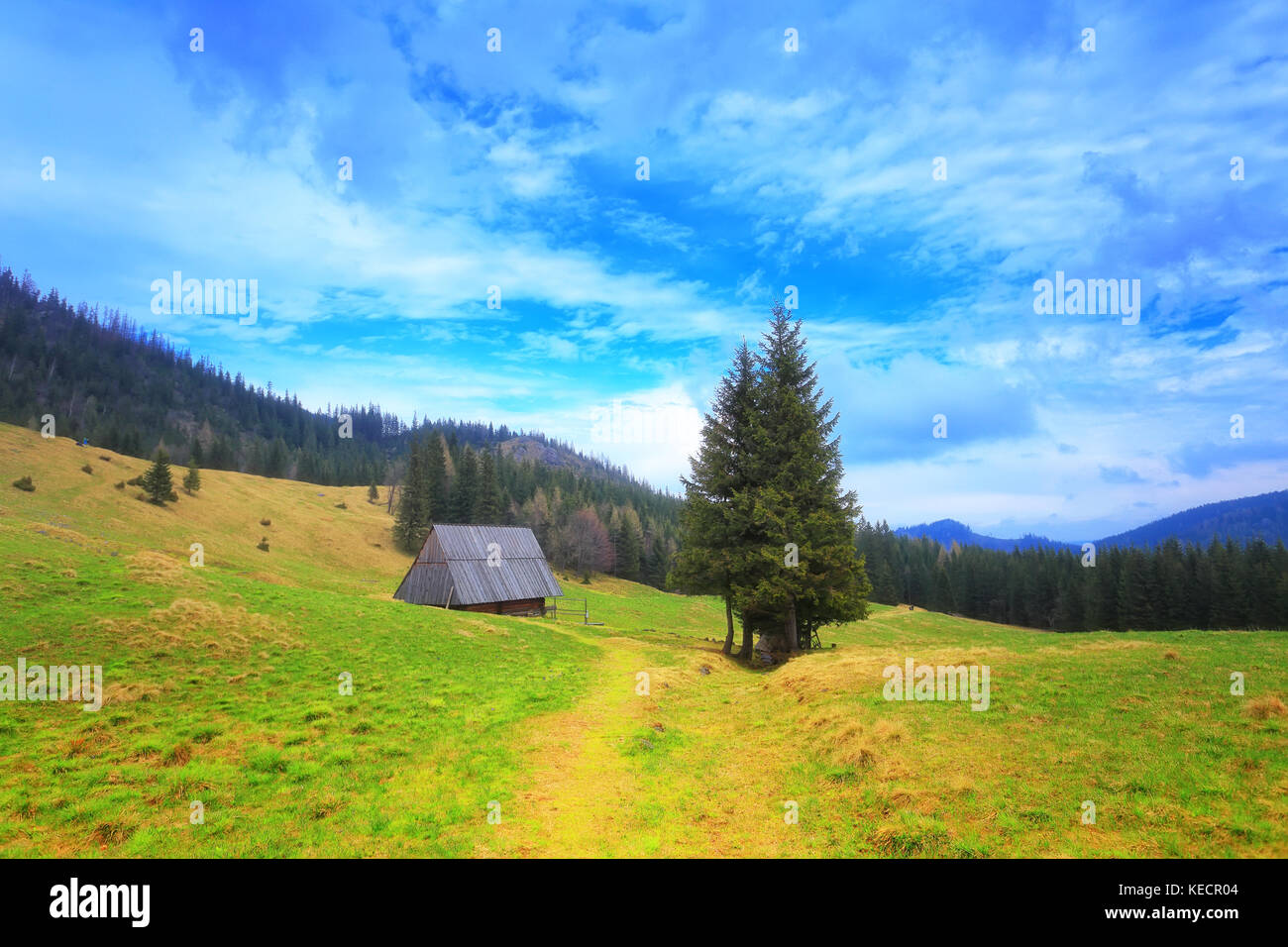 Soleggiato paesaggio estivo. valle verde a Zakopane montagne. destinazione turistica in Polonia Tatra. Foto Stock